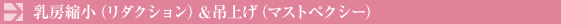 [ki_NVjݏグi}XgyNV[j
